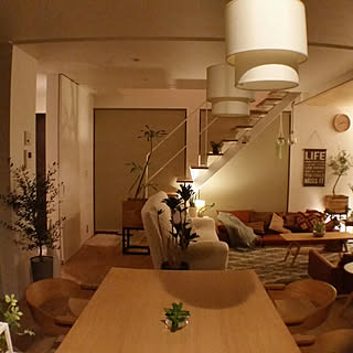 部屋全体/グリーンインテリア/Instagram→chie_iiii/無加工無修正/グリーンのある暮らし...などのインテリア実例 - 2017-11-23 20:42:29