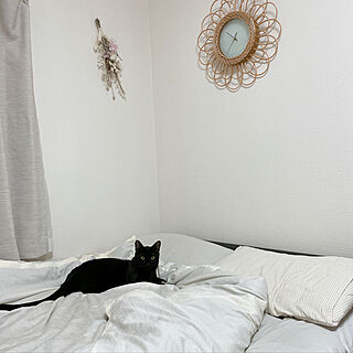 寝室インテリア/黒猫/くろねこ/ねこと暮らす/ねこのいる日常...などのインテリア実例 - 2021-07-31 13:48:53