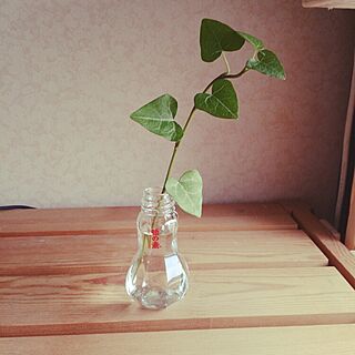 机/味の素の瓶/団地/植物のインテリア実例 - 2014-11-06 10:19:56