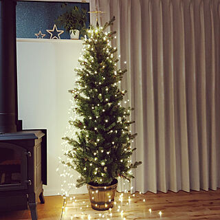 リビング/クリスマスツリー180cm/薪ストーブのある家/無垢の床/オガファーザークロス...などのインテリア実例 - 2021-11-06 17:46:58