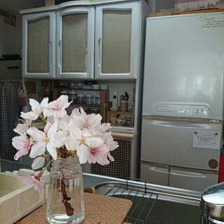 キッチン/桜/食器棚リメイク/ほっこり♡/2017.4.14のインテリア実例 - 2017-04-14 10:15:18
