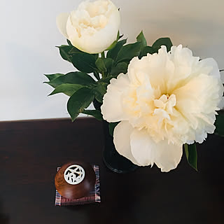 花で癒される/和モダン/白い花/ほんのり香る/華やか...などのインテリア実例 - 2021-05-19 07:11:17