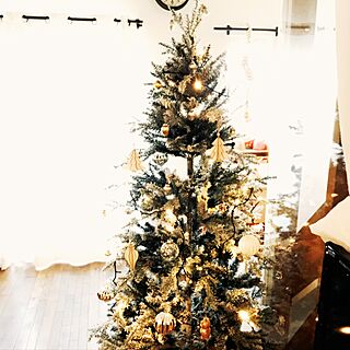 リビング/lumiクリスマスツリー/Studio Clip/クリスマスオーナメント/ヌードツリー...などのインテリア実例 - 2016-11-16 09:46:42
