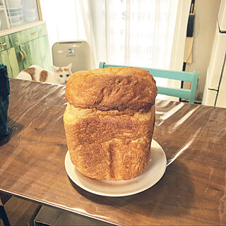 朝はパン/ホームベーカリーで食パン/ねこのいる日常/キッチンのインテリア実例 - 2022-03-04 18:37:17