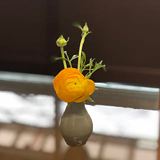 陶器/庭のお花/生花を飾る/机のインテリア実例 - 2022-03-23 12:40:42