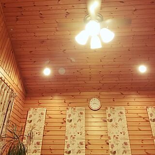 壁/天井/ドラセナコンシンネ/観葉植物のある暮らし/サンゲツのカーテン/木の温もりが好き...などのインテリア実例 - 2017-06-23 20:23:09