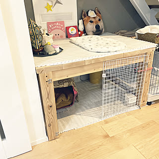 ダイソー犬クッション/階段下にある犬のスペース。/犬小屋DIY/ワイヤーネットDIY/アイスマート2...などのインテリア実例 - 2020-01-27 08:20:45