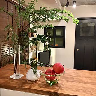 机/ベランダの植物を取込み中/大規模修繕/室内窓/こでまり...などのインテリア実例 - 2017-02-10 18:17:07