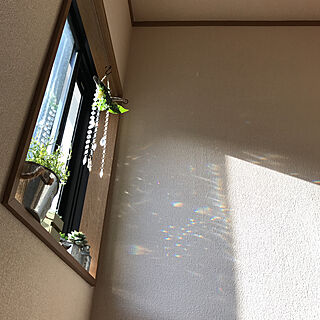 壁/天井/kimuraru さんのサンキャッチャー/フェイクグリーン/階段の窓/みどりのある暮らしのインテリア実例 - 2018-04-03 23:10:43