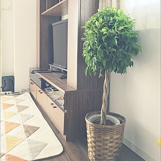 リビング/観葉植物のある部屋/ベンジャミン/観葉植物/テレビボード...などのインテリア実例 - 2016-04-03 00:26:28