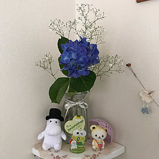 ムーミンパパ☆★/ナチュラルキッチンの雑貨/傘/カエルの着ぐるみくまさんʕ•ᴥ•ʔ/お花屋さんで購入♡♡...などのインテリア実例 - 2023-06-10 14:49:16