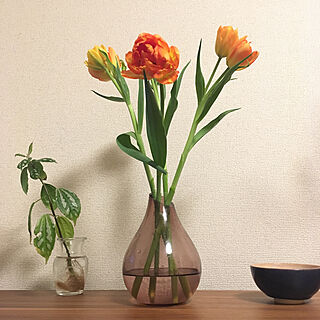 清水焼/IKEA/花のある暮らし/観葉植物/ZARA HOME...などのインテリア実例 - 2019-03-13 00:21:09