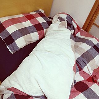 ベッド周り/ニトリ/ベッド/ベッド カバーのインテリア実例 - 2013-03-30 21:09:15