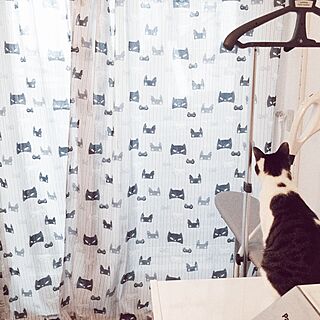 バス/トイレ/ZARA HOME/ザラホーム/いつもいいねやコメントありがとう♡/猫のいる日常...などのインテリア実例 - 2016-03-11 09:10:31