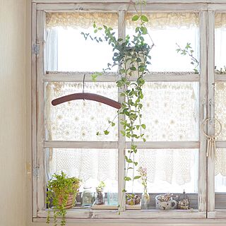 リビング/DIY/賃貸/植物/手作り窓枠...などのインテリア実例 - 2017-05-11 08:26:42