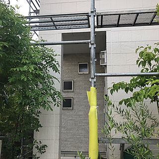小窓/玄関/入り口のインテリア実例 - 2019-06-26 20:20:01