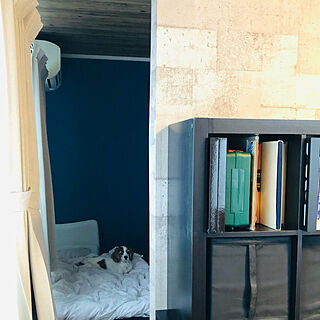 犬/IKEAの棚/壁作りました/コレ、DIYしたよ！/犬と暮らす家...などのインテリア実例 - 2021-05-18 10:37:11