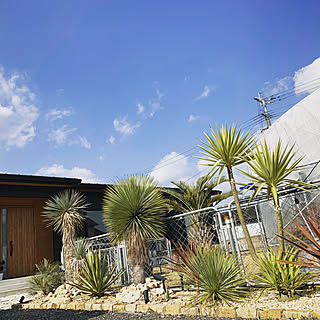 玄関 ドライガーデンのおしゃれなインテリアコーディネート