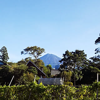 玄関/入り口/BESS の家/ログハウス/田舎暮らし/全室爪研ぎ標準装備...などのインテリア実例 - 2017-09-18 08:01:07