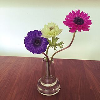 机/今週のお花/花のある暮らしのインテリア実例 - 2015-02-27 13:50:38