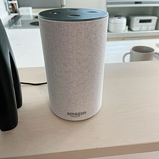 amazon echo/Amazonエコー/アレクサ/リノベーション/二世帯完全別離型...などのインテリア実例 - 2020-01-11 14:24:58