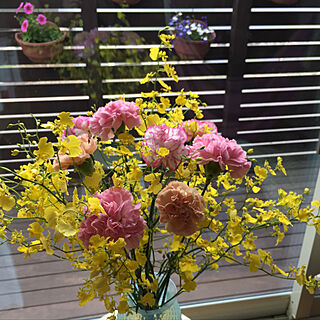 リビング/黄色い花/花のある暮らし/ウッドデッキ/植物のある暮らしのインテリア実例 - 2018-05-18 00:21:24
