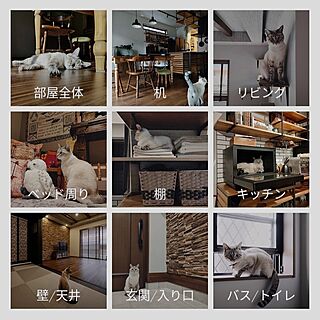 部屋全体/インダストリアル×アンティーク/インダストリアル ヴィンテージ/ブラック×ウッド/ねこのいる風景...などのインテリア実例 - 2024-02-23 20:25:11