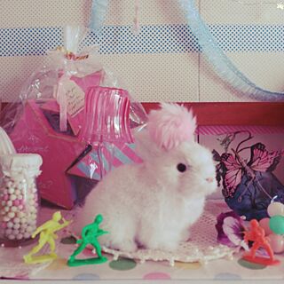 かわいい/ウサギ/動物/ピンク/棚のインテリア実例 - 2016-04-02 15:10:39