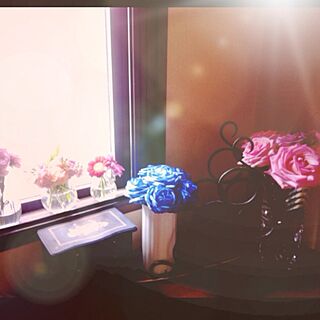 リビング/窓/青/春/お花たち...などのインテリア実例 - 2013-03-24 14:49:51