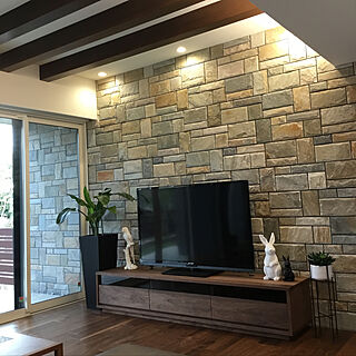 石貼り壁/マスターウォールのテレビボード/壁/天井のインテリア実例 - 2019-04-05 17:21:00