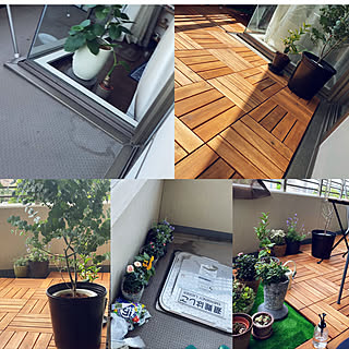 DIY初心者/賃貸マンション/DIY/観葉植物/IKEA...などのインテリア実例 - 2020-06-03 09:15:47