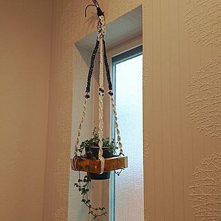 バス/トイレ/セリアの鉢/プラントハンガー作りました/トイレの窓のインテリア実例 - 2017-06-12 08:27:26