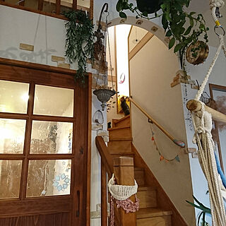 部屋全体/観葉植物のある暮らし/ペットと暮らす家/リビング階段/チェアハンモック...などのインテリア実例 - 2018-12-14 17:05:04