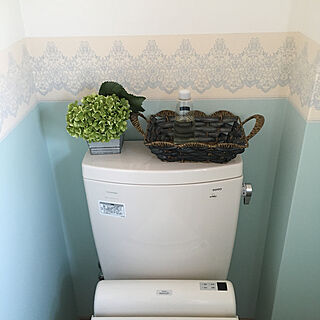 3階のトイレはまた違った感じで。/ナチュラル/多肉植物/観葉植物/ダイソー...などのインテリア実例 - 2020-03-21 09:40:32