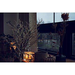 棚/ドライフラワー/ブロックランプ/DESIGN HOUSE STOCKHOLMのインテリア実例 - 2017-02-23 13:52:15