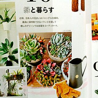 部屋全体/Sü magazine/寄せ植え/多肉植物のインテリア実例 - 2017-04-26 23:22:23