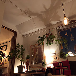 天井 昭和レトロのおしゃれなインテリアコーディネート・レイアウトの