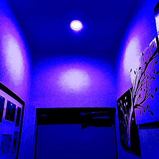狭い玄関/LEDライト/ブラックインテリア/照明の色/狭い部屋...などのインテリア実例 - 2022-05-29 12:17:09
