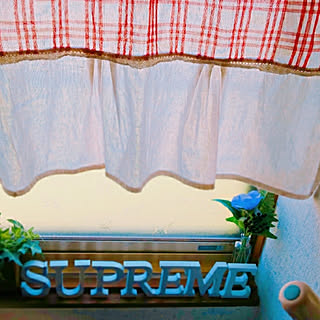 バス/トイレ/Supremeオブジェ/ダイソー/フェイクグリーン/100均のインテリア実例 - 2019-05-30 12:27:27