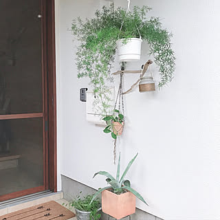 テサテープ/壁に付けられる家具/グリーンのある暮らし/観葉植物/ダイソー...などのインテリア実例 - 2020-07-06 21:44:34