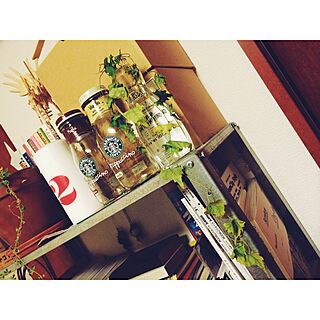 棚/ごま油の瓶/一人暮らし/観葉植物のインテリア実例 - 2015-10-31 21:59:17