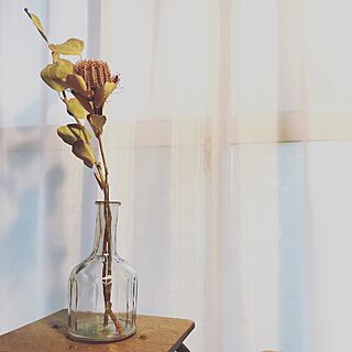 リビング/花のある暮らし/アンティーク花瓶/ドライフラワーのインテリア実例 - 2017-07-02 19:16:43