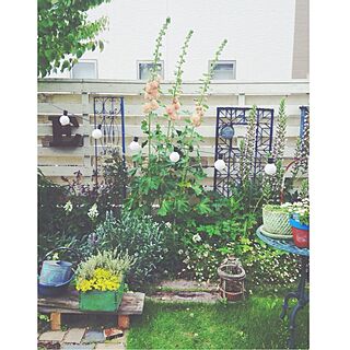 玄関/入り口/庭/garden/ガーデニングのインテリア実例 - 2014-06-08 15:31:31