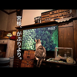 食器棚リメイク/アンティーク雑貨/壁掛けテレビDIY/タイムライン追えずすまぬ…/marusan流...などのインテリア実例 - 2022-09-21 18:38:29