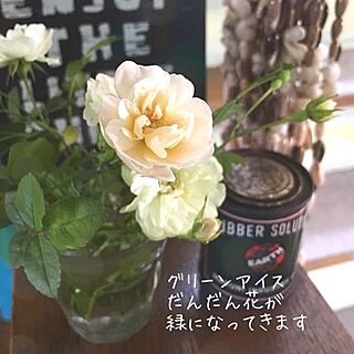 棚/古い缶/バラのインテリア実例 - 2016-09-19 19:51:48