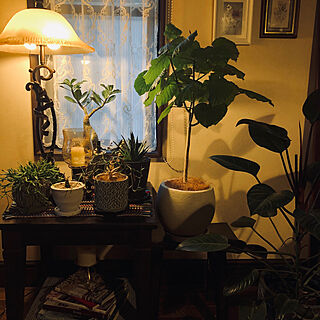 テーブルランプ/間接照明/キャンドルスタンド/グリーンのある暮らし/観葉植物...などのインテリア実例 - 2020-04-03 18:01:53