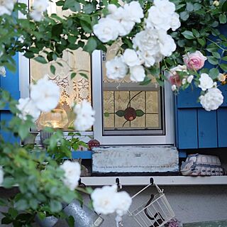 リビング/ガーデン/手作り/DIY/薔薇...などのインテリア実例 - 2014-05-19 11:03:30