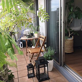 玄関/入り口/観葉植物/植物/植物のある暮らし/IKEA...などのインテリア実例 - 2017-05-13 15:32:23
