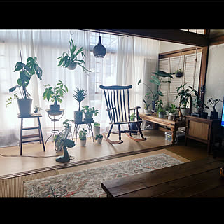 リビング/観葉植物/植物/インテリア/アンティーク...などのインテリア実例 - 2023-08-20 09:06:20