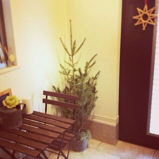 玄関/入り口/クリスマスツリー/本物のモミの木/IKEAのインテリア実例 - 2013-12-02 16:44:54